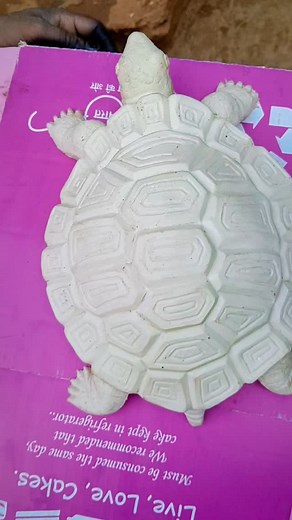 52 reactions | My studio work tortoise @manoj.kumar.artist 9045473304 modinagar #claystatue #clayartist #fiberglassstaus #fiberglassstaus #viralreels #claymodling #shortreels #clayart #video | Manoj Kumar | Facebook