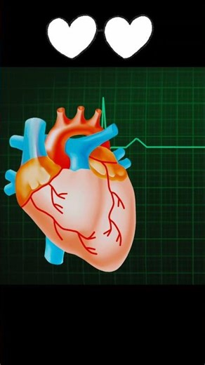 Heart Monitor Beep Sound 💓 Hospital Night Ambience #shorts|MusicZap