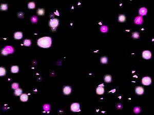 Fall of Cherry Blossoms
