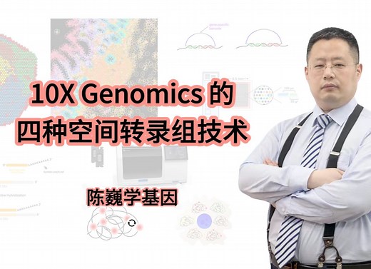 【陈巍学基因】127: 10X Genomics 的四种空间转录组技术