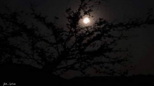 I Miss You Song Lyrics