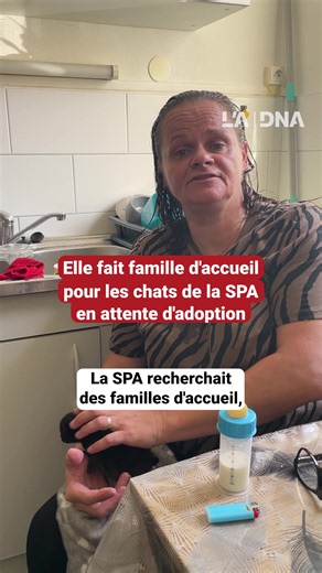 Avoir des chatons qui gambadent partout chez soi, sans avoir le stress de se demander comment faire une fois les vacances venues? C'est possible en devenant famille d'accueil ! Depuis quelques mois, la SPA de Mulhouse a officiellement lancé une campagne pour trouver des familles d'accueil. L'objectif: permettre aux mères porteuses, chatons ou chats atteints de maladies d'être entre de bonnes mains le temps de trouver une famille pour la vie. 📹: Manon Boudsocq #SPA #animaux #chat