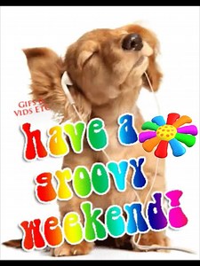 21K views · 511 reactions | Good Morning...Happy Weekend~ | Gifs, Vids & Music Etc | Facebook