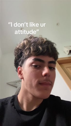 Understanding Attitudes: Navigating Social Dynamics