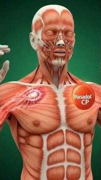 Panadol CF tablet use karne se kya hota he body me #facts #foryou #shorts #medicine