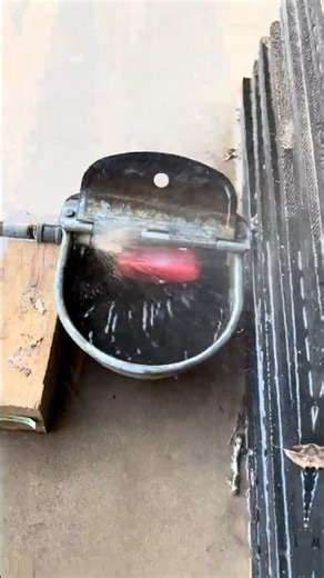Well, that didn’t work… Restoring an old automatic waterer.