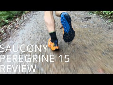 Peregrine 15 Review