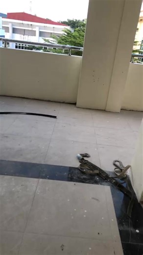 Sach Nguyen on Reels