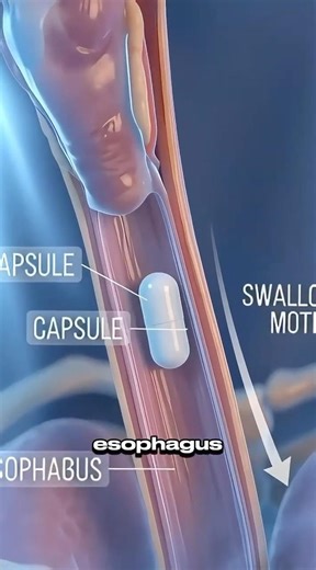 What happens inside the body when you take a capsule
