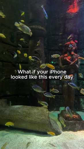 The most satisfying iPhone widget you will ever try Download Aquarium Widgets and add beautiful animated fish to your home screen. Completely free and endlessly customizable. #iPhoneWidgets #AquariumApp #HomeScreenIdeas #iOSCustomization #FishWidgets