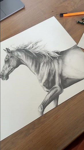 Künstlerin zeichnet ein Pferd 🐴✨ #zeichnung #bleistift #malen #tiere