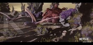 Film Netflix Alien World, melihat dari dekat kehidupan alien di planet lain