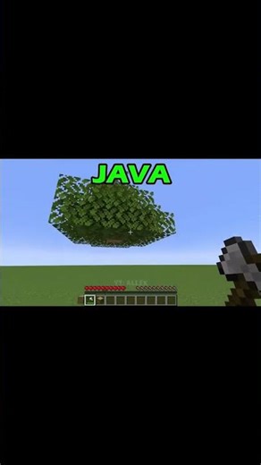 Java vs. Bedrock: The Real Showdown!