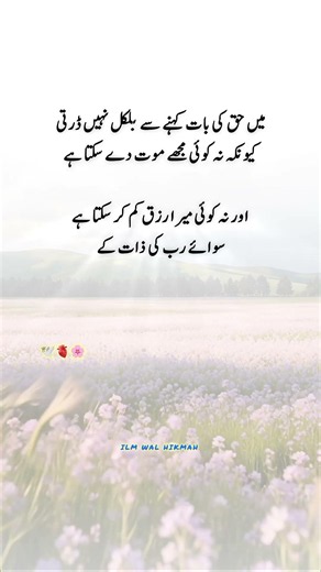 Islamic lines 🕊️💯 #4line #islamicwisdom #islamicvideo #deensayings #unfrezzmyaccount #shortvideo