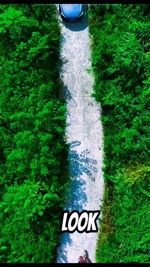 10K views · 69 reactions | Angry Driver turned road hero | Innovate & Create Clips | Facebook