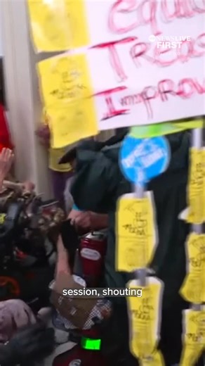 House Republicans pushed forward with a bill packed with key Trump priorities, despite growing backlash over Medicaid cuts. ABC News' Jay O'Brien reports from Capitol Hill, where protests erupted and Capitol Police say 25 demonstrators were arrested for disrupting proceedings. With Republicans in control of both chambers of Congress, they are using a process called reconciliation that only requires a simple majority for passage to fast-track their legislation. https://abcnews.link/lobqsxk | ABC 