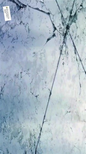 Replying to @tizzyhope1 pt 11 of the start of the tournament of power #goku #gohan #vegeta #beerus #whis #zeno #dragonball #tournamentofpower #dbs #anime #foryoupage