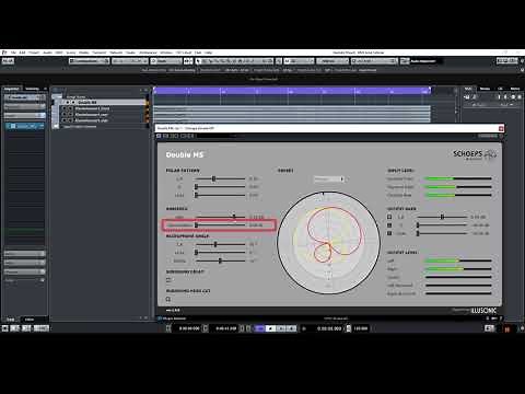 Double MS Plugin Demo