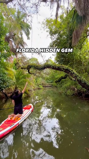 Calling all nature lovers… 🌴🛶💚 Welcome to the Estero River. A scenic paddle run and a hidden gem that many miss out on when visiting parts of SWFL 🎋😍 SUP tours available with @mustseefloridapaddle 👉🏼 20% discount code: ‘Welcome20’ Did you know you can stay overnight in the park? ⛺️🌴 #KoreshanStatePark has a beautiful campground with available campsites or you can book with @TimberlineFortMyers for a more luxurious and comfortable stay! Share this post with your friends and save for your 