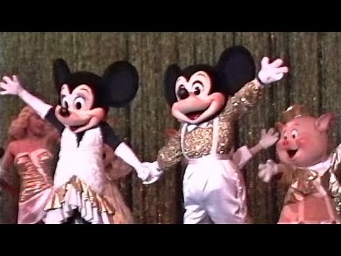 ワンマンズドリーム TDL 1991 07 07【HD】
