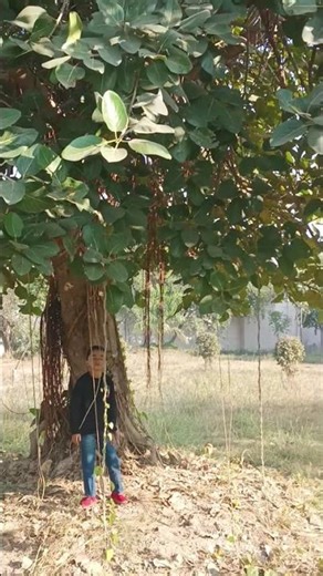 ❤SIDHU MOSSE WALA❤