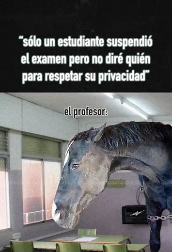 Memes on Instagram: "Si"