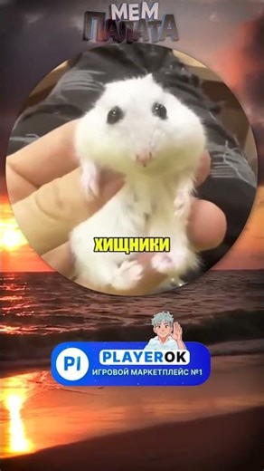 #мемы #Shorts #кружок #memes #мем #мемасы #мемчик #вирусно #веселое