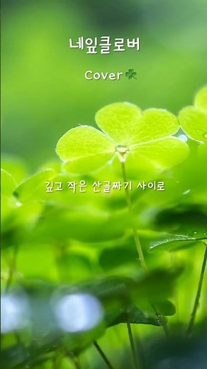 네잎클로버(동요) Cover🍀