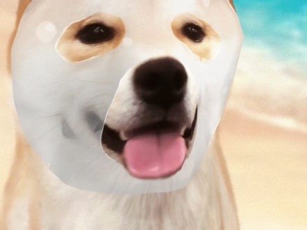 系统时钟配置流程