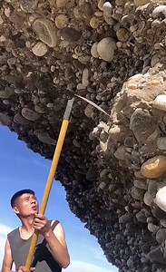 1.8M views · 7.8K reactions | Rock?gem?#crystal #yfp #gemstone #jade #rock #crystaltok | Crystal Uc2 | Facebook