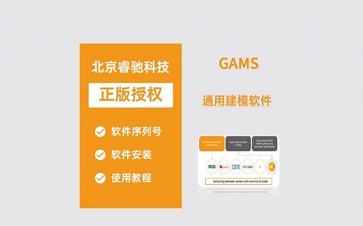 GAMS 通用建模软件！