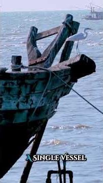 The 3,300-Year-Old Shipwreck Carrying Cargo From Seven Civilizations #AncientHistory #Mystery