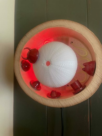 Make a Sea Urchin Hat Tide Clock with Noods