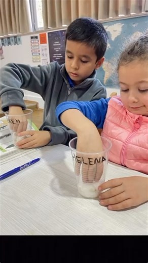 First grade experiments in science 良 | AIS Albanian International School | Facebook