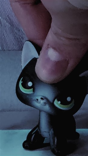 #lps #ladydogo #fypp