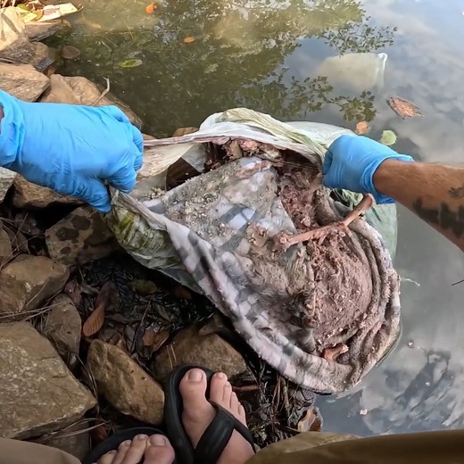 1.4M views · 2.3K reactions | It was wrapped up in a blanket 冷 | Exploring with the Nug | Facebook