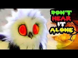 Owl Sound Effects at Night for Sleep