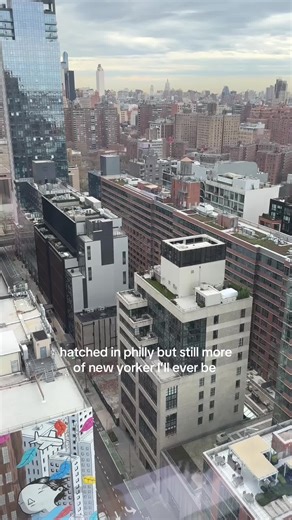 Understanding Veiled Chameleons as Exotic Pets