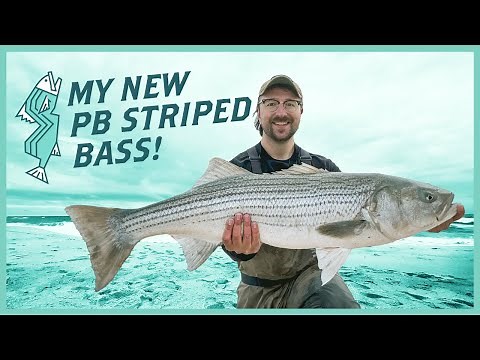 My Personal Best Striped Bass from the Beach | New Jersey Saltwater Fishing