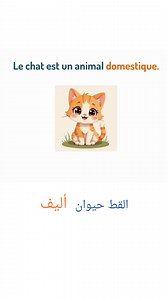 Les animaux et leurs caractéristiques. | Apprendre Le Français Facilement