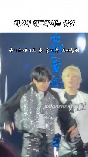 콘서트장에서도 못 숨기는 보따람쥐의 귀여움😆 #straykids #보따람쥐
