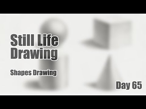 Still Life Drawing for Beginners - How to Create Shapes