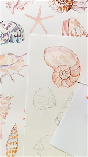 Save how to draw a seashell 🌊 Explore more watercolour tutorials on my channel 😉 #watercoloring #art