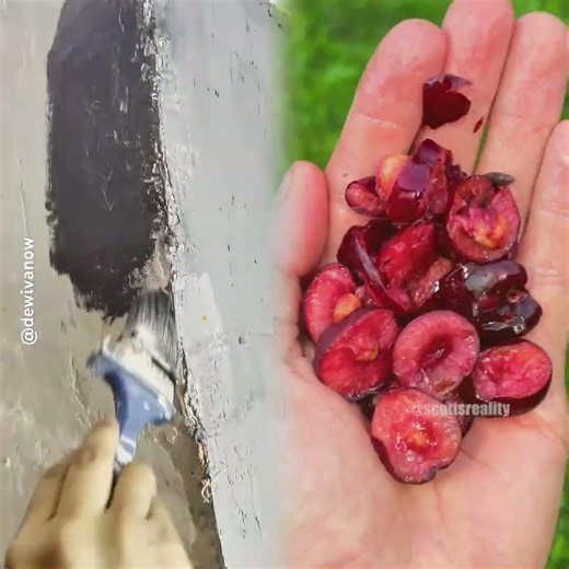 CECE MAKES A SECRET PROJECT #DEWIVANOW #SCHOOLPROJECT #SCHOOLPROJECT #DIY #JUNGLESCHOOL