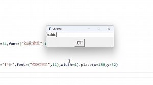python浏览器