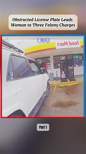 Understanding Police Procedures in the USA