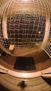 Ultimate Porch Pirate Trap! #diy #security #homehack | VuTube