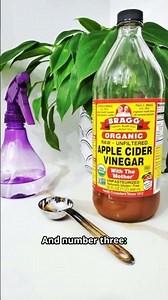 “3 Natural Remedies for Vaginal Yeast Infections (Quick Tips)”