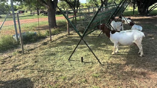 Understanding Maternity Ward Care