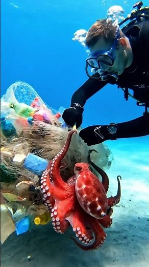 Life-Saving Animal Stories